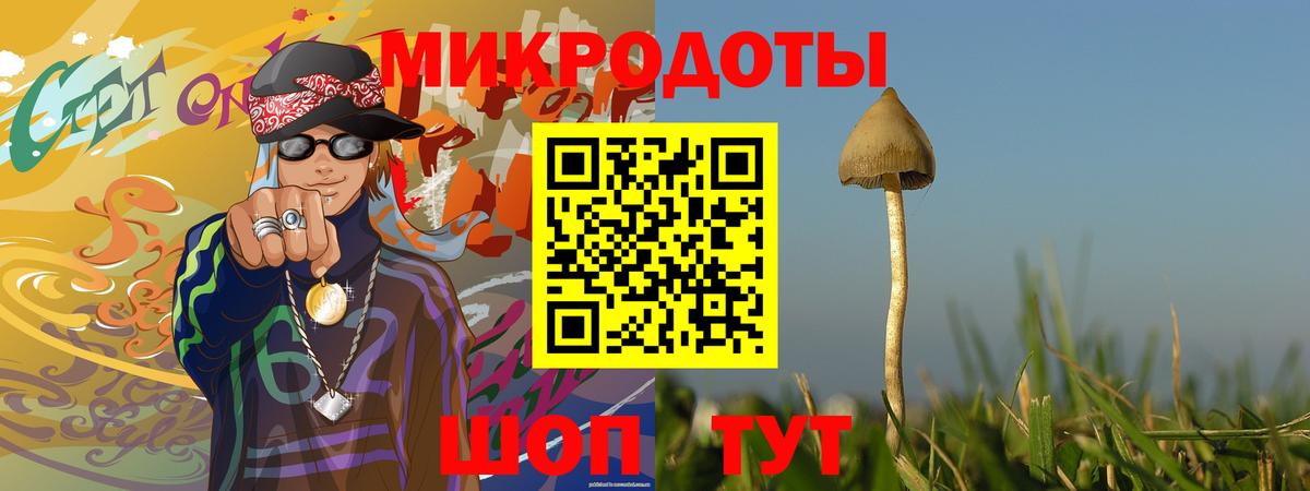 Каменка  Псилоцибиновые грибы Cubensis  Вход с VPN 