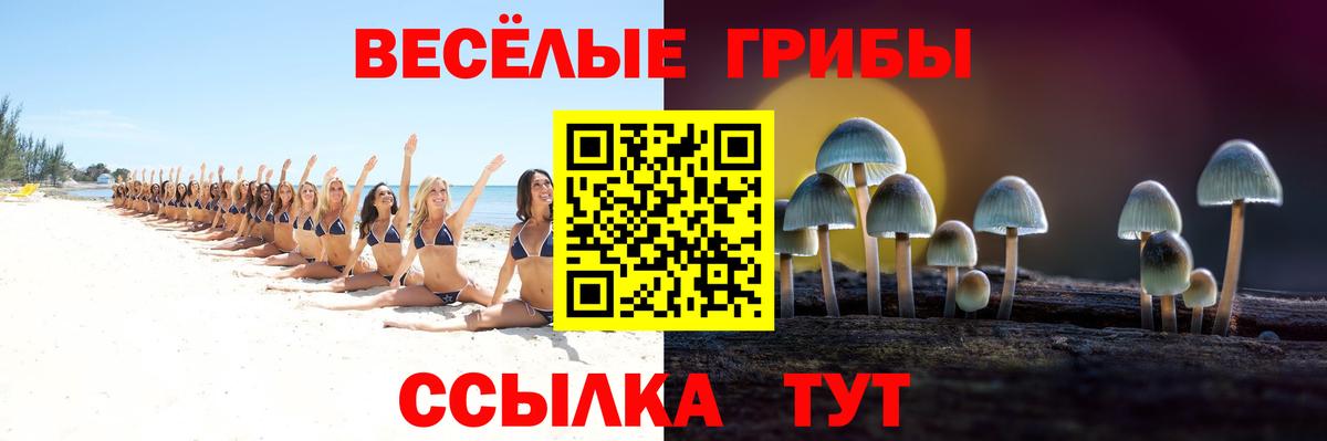 Галлюциногенные грибы ЛСД Каменка